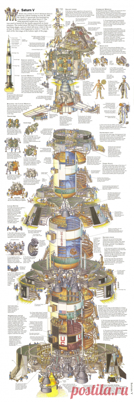saturnvcomplet.jpg (2000×5984)