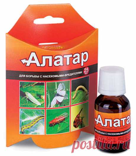 Компания Ваше хозяйство - «Алатар» — универсальный препарат для защиты большинства садово-огородных культур от вредителей