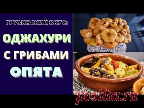 ОДЖАХУРИ С ГРИБАМИ ОПЯТА: ГРУЗИНСКОЕ БЛЮДО НЕОРДИНАРНО ВКУСНО И КРАСИВО! Ojakhuri