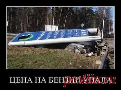 Анна Думанская