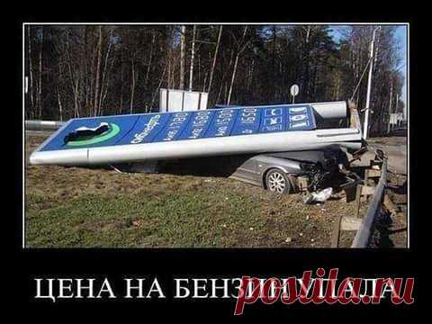 Анна Думанская