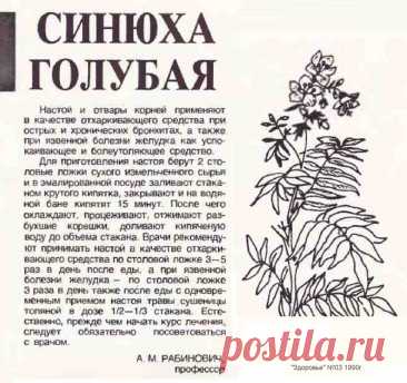 Синюха голубая лечит