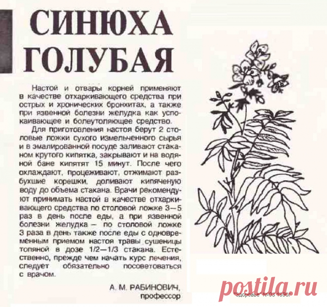 Синюха голубая лечит