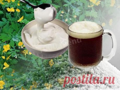 Квас из чистотела рецепт с фото | 1000.menu