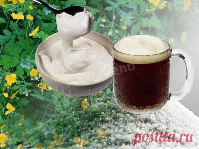 Квас из чистотела рецепт с фото - 1000.menu