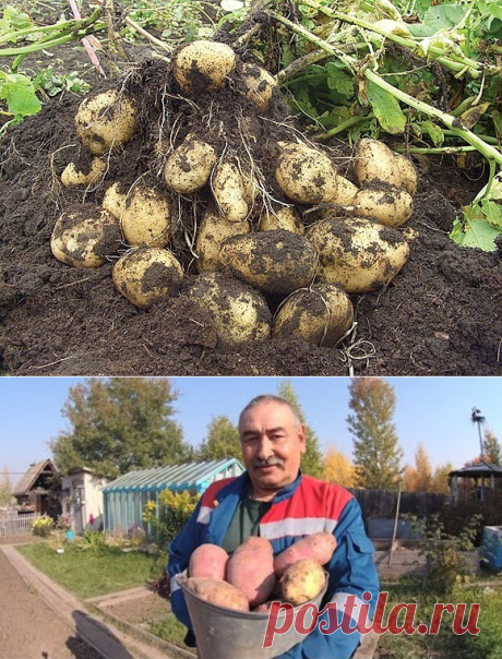 Одноклассники
