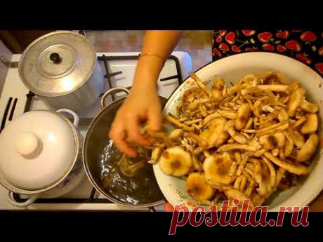 как я мариную опята