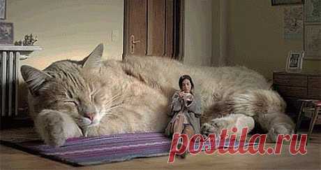 ч у д е с а ФОТОШОПА)))))