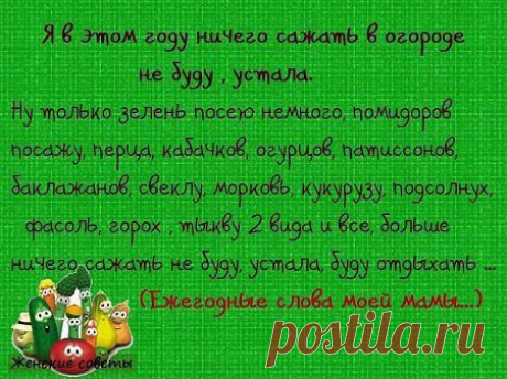 Интересные новости