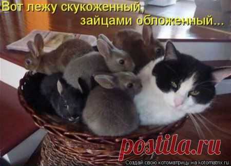 Интересные новости