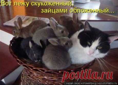 Интересные новости