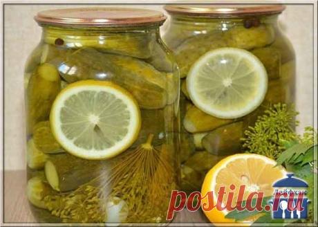 (57) Одноклассники