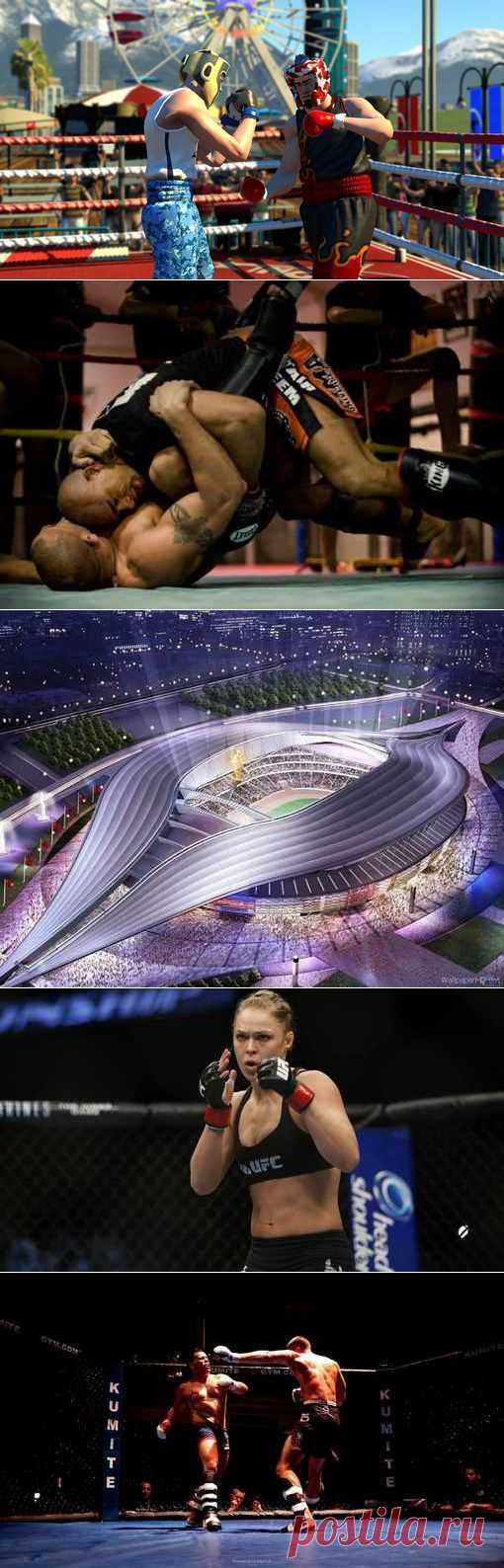 Сумо, Подводное фотографирование, Ориентирование спортивное, Вейкборд. (1/1) - Спортивный форум. - Спортивный сайт
