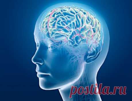 9 упражнений, которые помогут сохранить ясность рассудка - Интересный блог