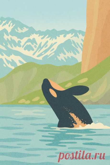 Камчатка: царство косаток – взгляд в океанскую глубину — STRANI.ru