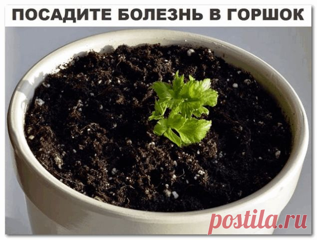 Вам сообщение!