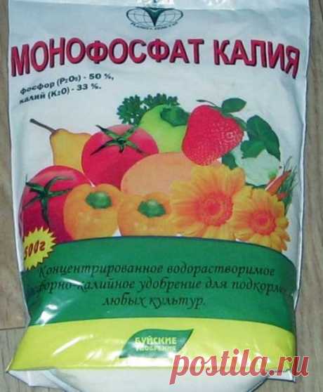 Калийно-фосфорные удобрения для цветущих растений, видео