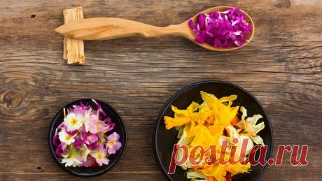 Как узнать свою ведущую дошу и разобраться в себе? | Все об Осознанной Красоте