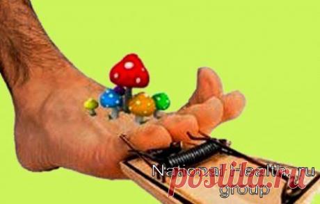 ГРИБОК (микоз). Лечение народными средствами, множество рецептов..