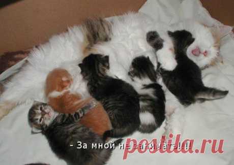 Фотографии на стене сообщества | 6 907 фотографий