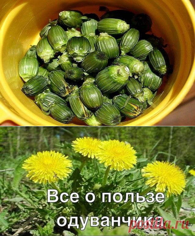 (99) Одноклассники