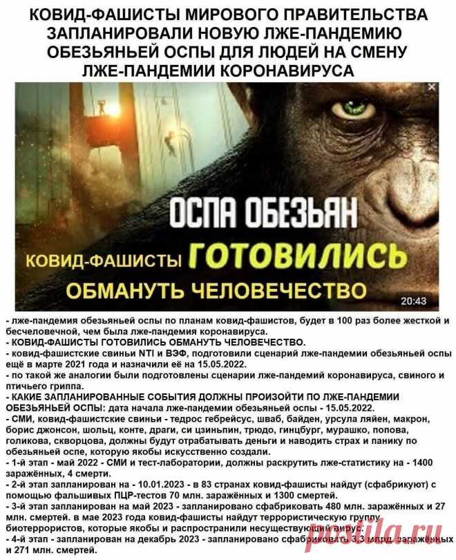 (24) Одноклассники