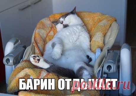 Мой Мир@Mail.Ru