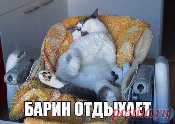 Мой Мир@Mail.Ru