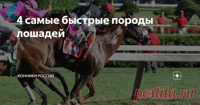 4 самые быстрые породы лошадей А также небольшой сюрприз. 4 место - Орловская рысистая Первая культурная порода, которую вывели в России. Она сыграла огромную роль в становлении отечественного коневодства. А сегодня она является живым брендом нашей страны и развивается во всех направлениях конного спорта. Характер этих животных очень спокойный, добрый. Лошади дружелюбны по отношению к человеку. А благодаря своему экстерьеру они завоевали тысячи наград и великую славу.  Раз...