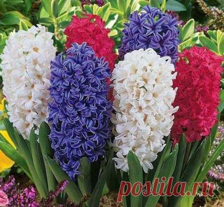 Величайшее в жизни счастье - это уверенность в том, что нас любят, любят за то, что мы такие, какие мы есть, или несмотря на то, что мы такие, какие мы есть.