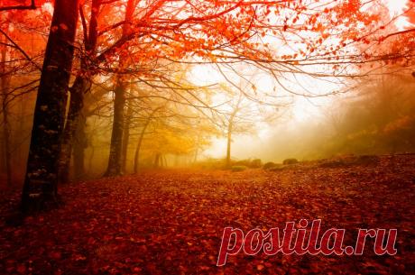 15 причин, по которым осень гораздо лучше лета