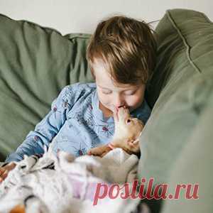 ЧИТАТЬ ВСЕМ РОДИТЕЛЯМ!!!
Как крошечный щенок чихуахуа помог выздороветь маленькому мальчику после тяжелой операции.