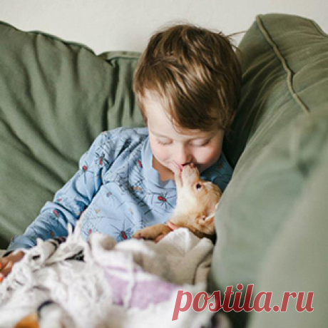 ЧИТАТЬ ВСЕМ РОДИТЕЛЯМ!!!
Как крошечный щенок чихуахуа помог выздороветь маленькому мальчику после тяжелой операции.