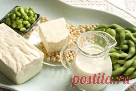 10 продуктов, в которых больше всего кальция