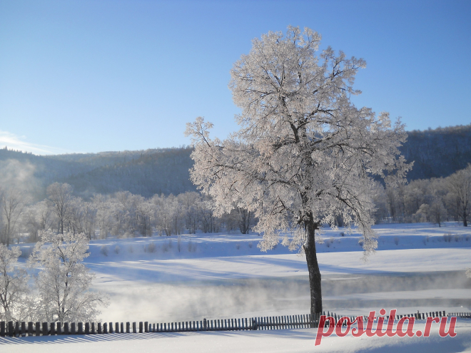 мир - 51 фото. Фотографии Сергей Мартынов.