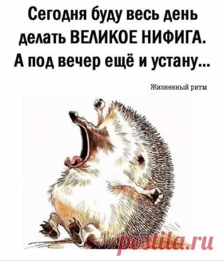 жизненный ритм