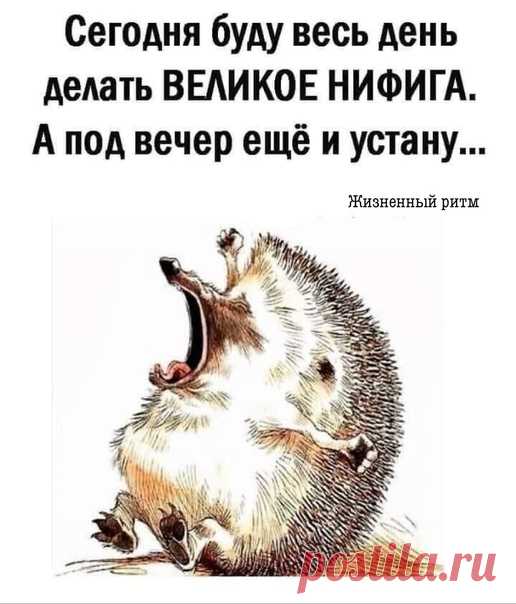 жизненный ритм