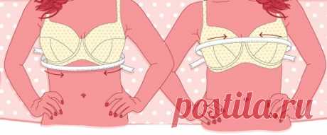 КАК ПРАВИЛЬНО ПОДОБРАТЬ НИЖНЕЕ БЕЛЬЕ ЖЕНЩИНАМ ЗА 50 - Советы и Рецепты Визуально скорректировать фигуру, несколько поплывшую после 50 лет, поможет правильно подобранное специальное белье. Как его подобрать, расскажет стилист-имиджмейкер Ирина Ергина. ВЫБИРАЕМ БЮСТГАЛТЕР Как правильно подобрать нижнее белье женщинам за 50 1. Никогда не покупайте бюстгальтер без примерки, а примеряя, застегивайте на среднюю застежку (обычно, на бюстгальтере 3 застежки). Тогда, даже если груд...