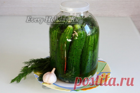 Малосольные огурцы с чесноком и укропом быстрого приготовления