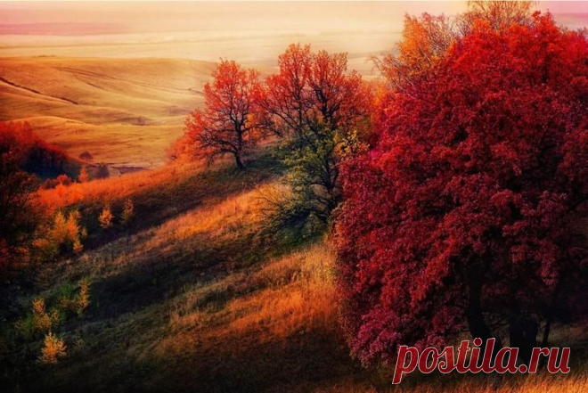 Пост обожания осени