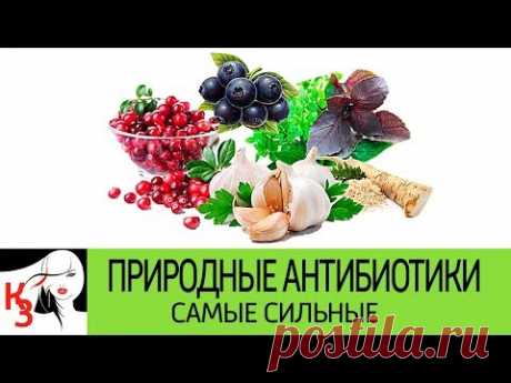 Самые сильные природные антибиотики, которые борются с бактериями в организме  Часть 1 - YouTube
