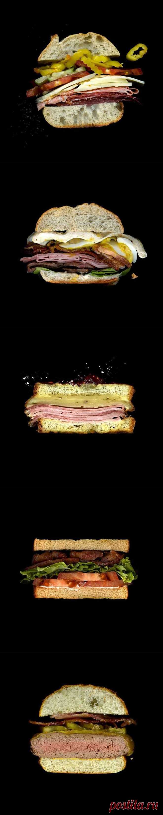 Анатомия сэндвичей