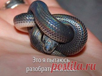 (14) Мой Мир@Mail.Ru