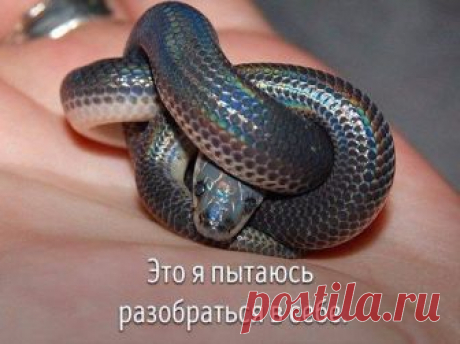 (14) Мой Мир@Mail.Ru