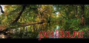 Размышления, замечания, констатация и выводы из поступающей информации! | Потерянные миры