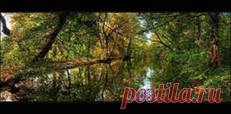 Размышления, замечания, констатация и выводы из поступающей информации! | Потерянные миры