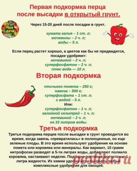 (1144) Pinterest