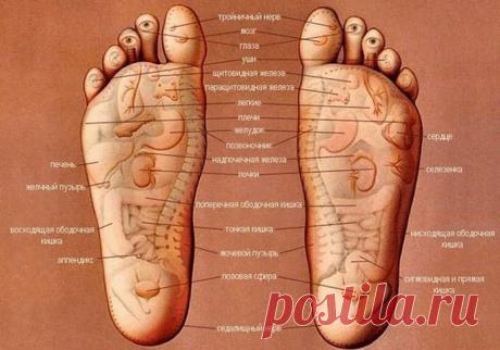 Теперь я всегда буду массировать стопы перед сном! Простой секрет долголетия и молодости
Связь между внутренними органами и человеческой стопой обнаружили еще в древности. Регулярный массаж стоп помогал людям укрепить иммунитет, улучшить кровообращение, продлевал долголетие и молодость организма. Со временем знания забылись, однако их эффективность осталась неизменна. Конечно, сегодня все хотят...
Читай пост далее на сайте. Жми ⏫ссылку выше