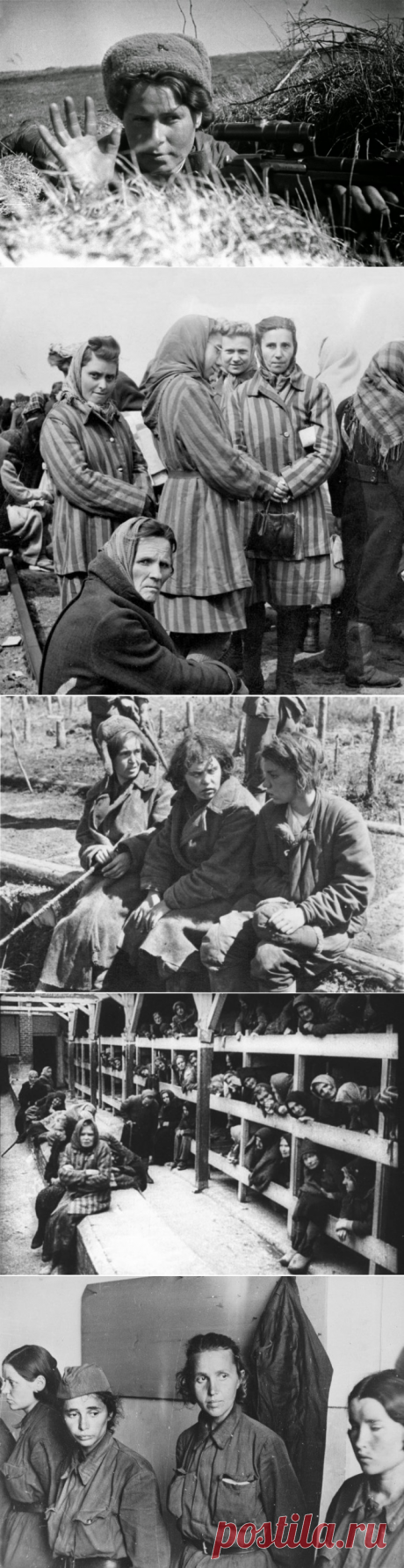 Пройти через ад: советские женщины-солдаты в немецком плену / Научный хит