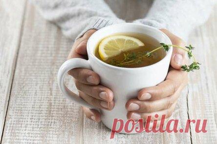 Польза чая с лимоном: диетолог рассказала, когда он превращается в обычный напиток
